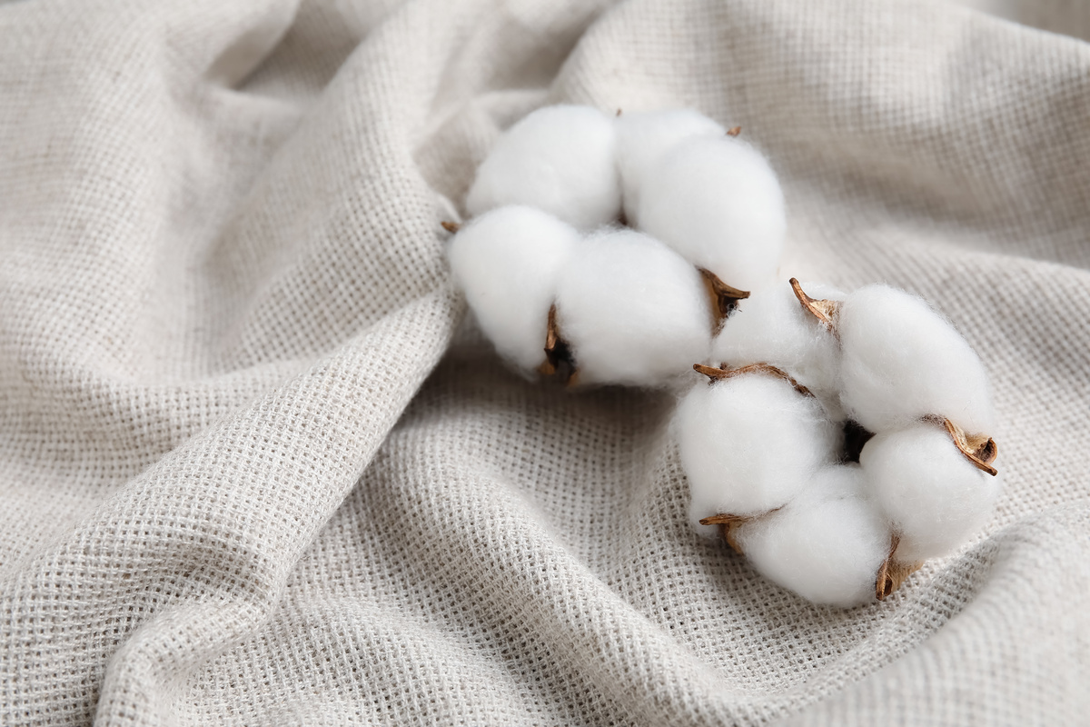 Cotone: benefici e utilizzo