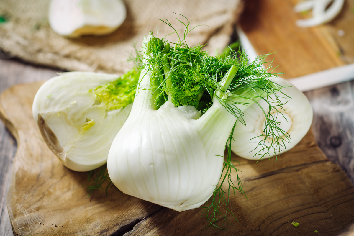 Finocchio: benefici e utilizzo