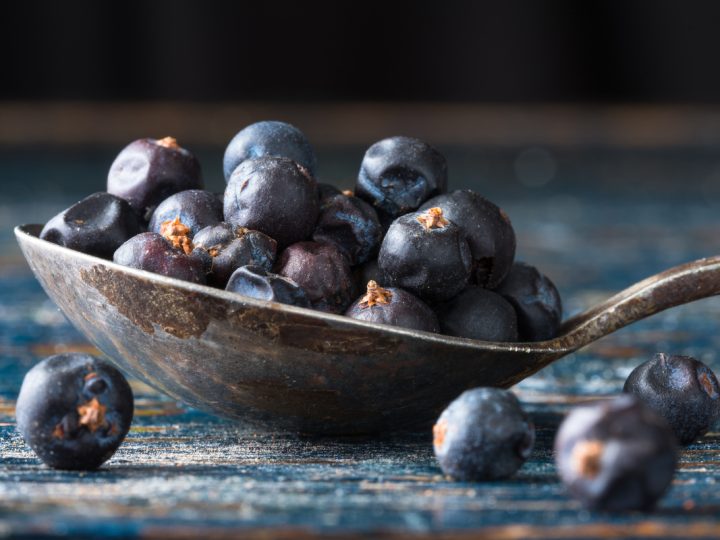 Ginepro: benefici e utilizzo