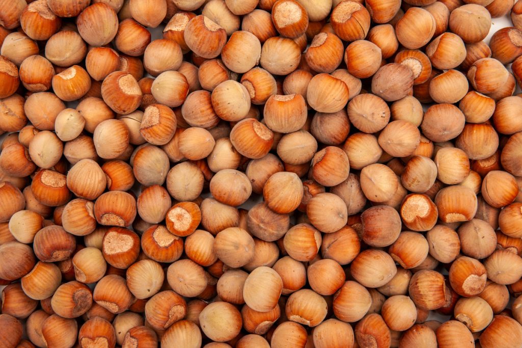 Nocciolo: benefici e utilizzo