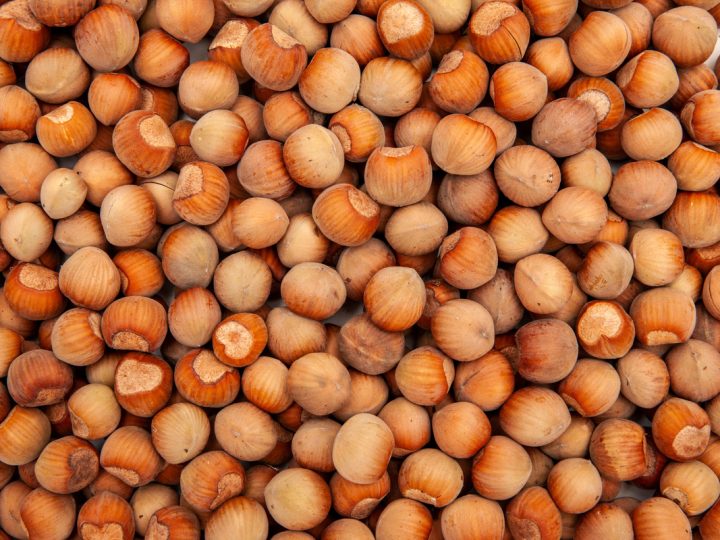 Nocciolo: benefici e utilizzo
