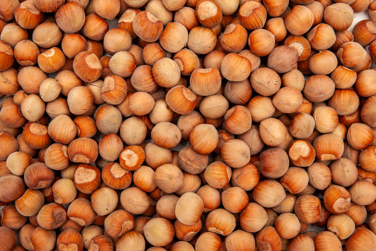 Nocciolo: benefici e utilizzo