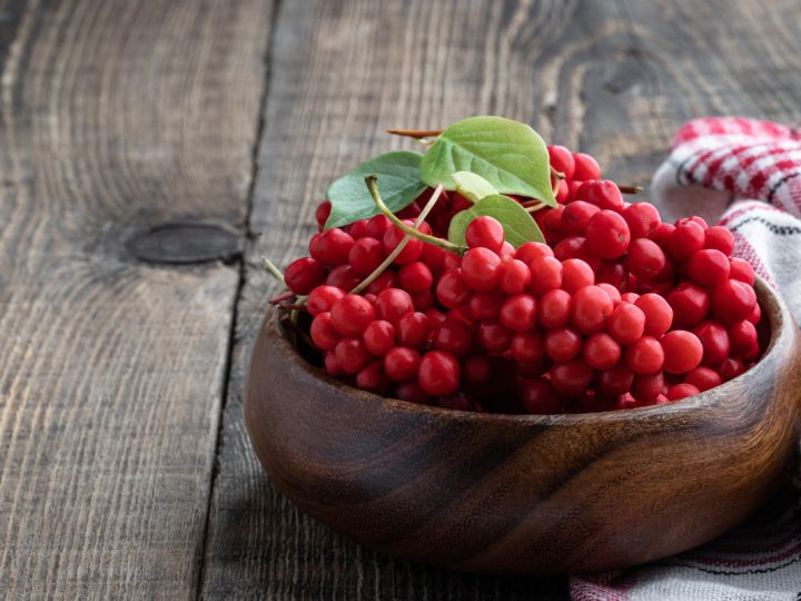 Schisandra: benefici e utilizzo